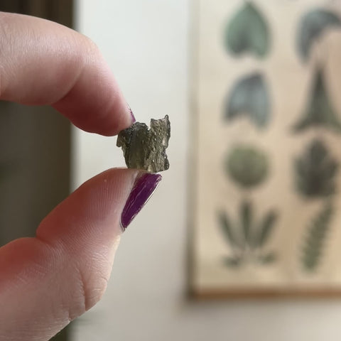 Moldavite "Alessandra"