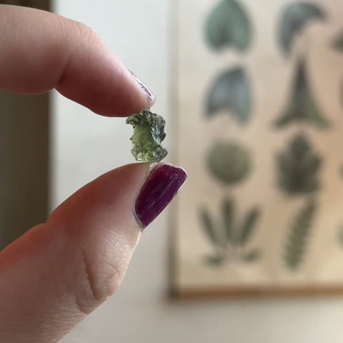 Moldavite "Lexi"