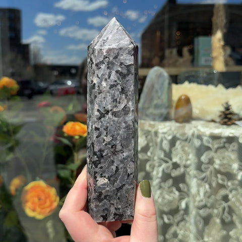 Larvikite "Murphy"