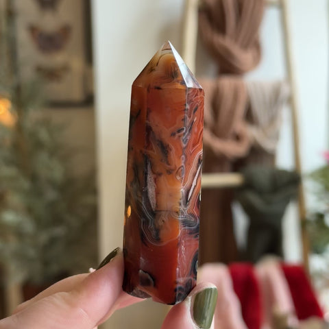 Sardonyx Point "Nat"