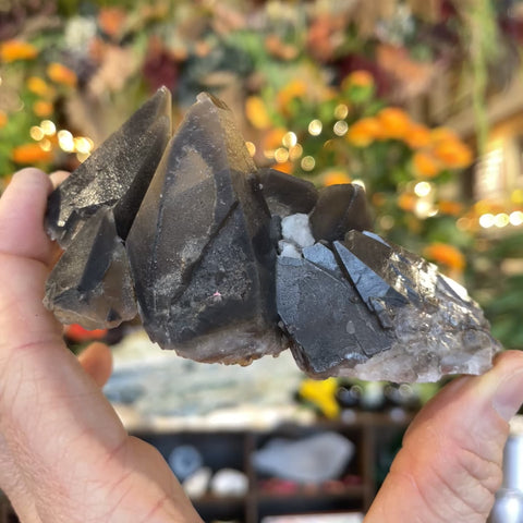 Dogtooth Calcite "Rick"