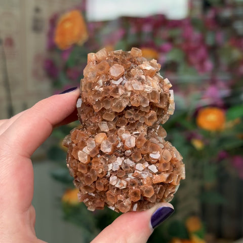Aragonite "Jason"