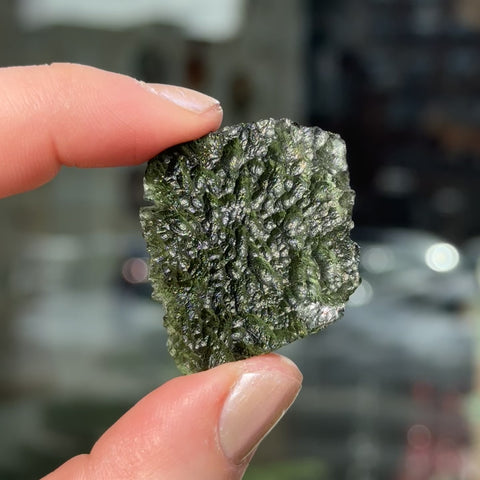 Moldavite (Museum-Grade) "Cassandra"