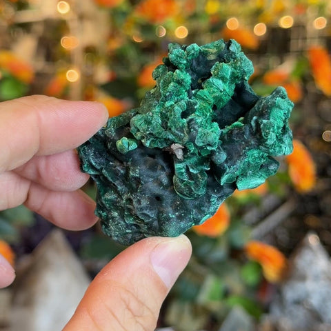 Fibrous Malachite "Eduardo"