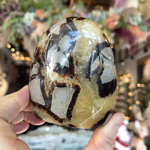 Septarian Stone "Elizabeth"