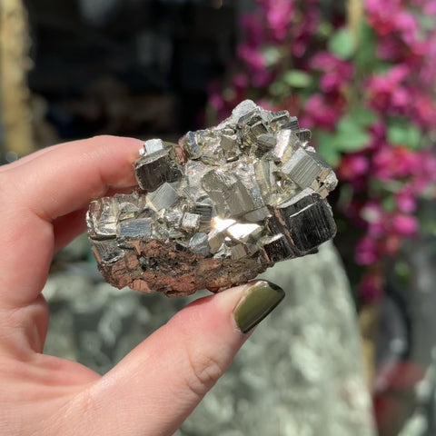 Pyrite "Polly"