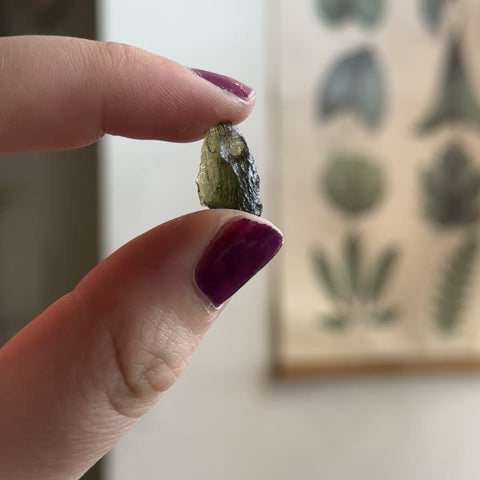 Moldavite "Nyla"