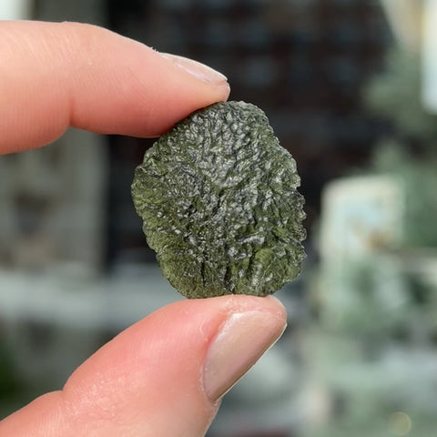 Moldavite (Museum-Grade) "Calypso"