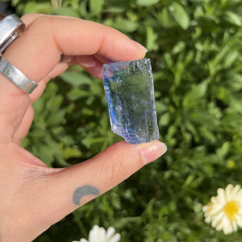 Blue Halite "Ferdinand"