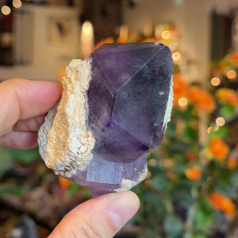 Amethyst "Brooke"