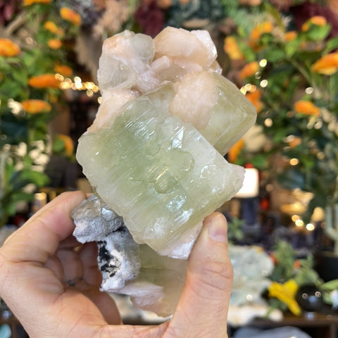 Green Apophyllite "Silena"