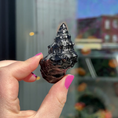 Obsidian Seashell