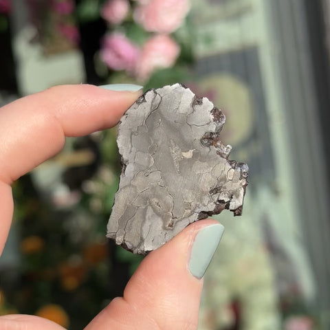 Campo del Cielo "Halina"