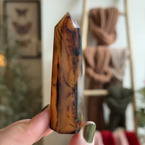 Sardonyx Point "Ernest"