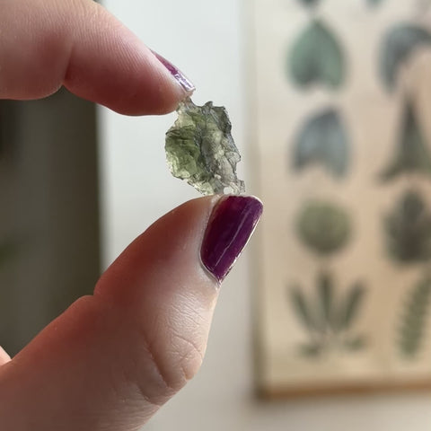 Moldavite "Giselle"