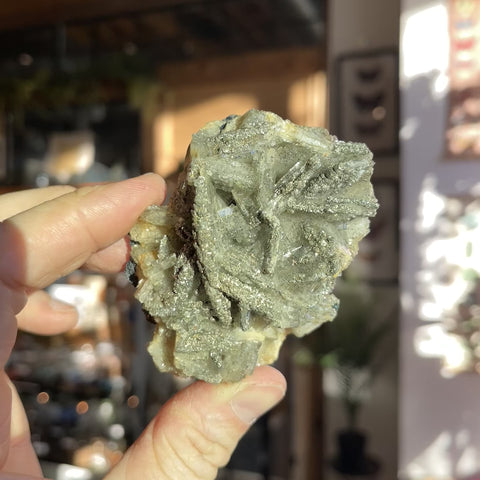 Barite | Pyrite "Scottie"