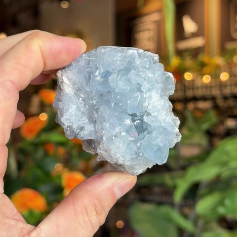 Celestite "Kaden"