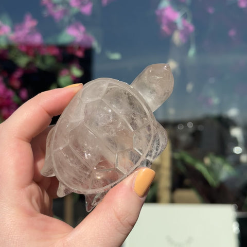 Smoky Quartz Turtle "Benny"