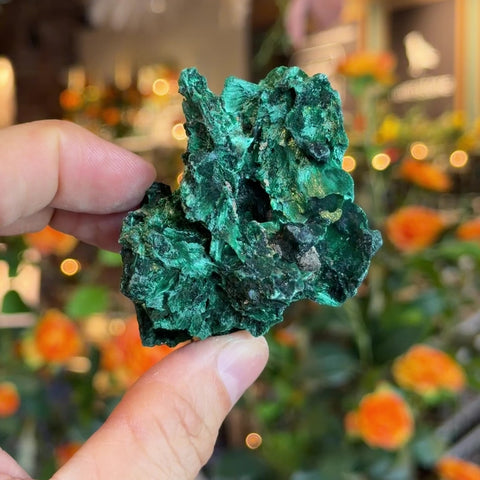 Fibrous Malachite "Hayden"