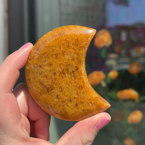 Golden Healer Moon "Di"