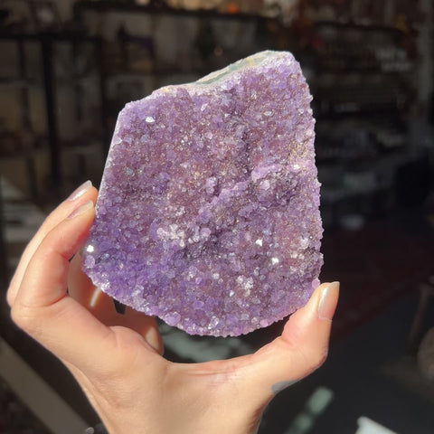 Amethyst "Timothy"