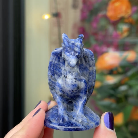 Sodalite Dragon "Thomas"