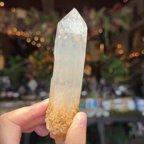 Blue Smoke Golden Healer Quartz "Sherry"