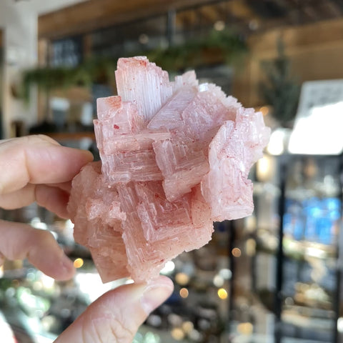 Pink Halite "Frenchie"