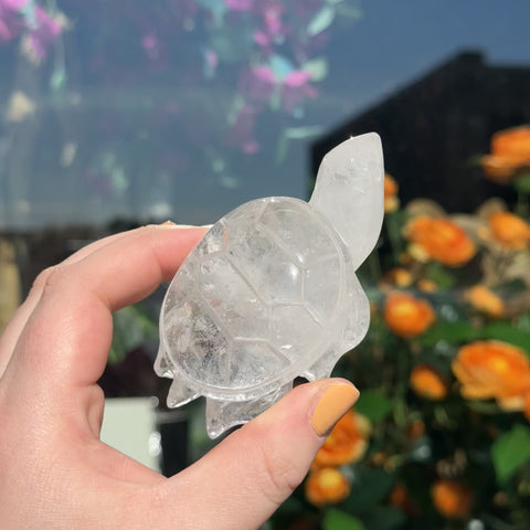 Clear Quartz Turtle "Linda"