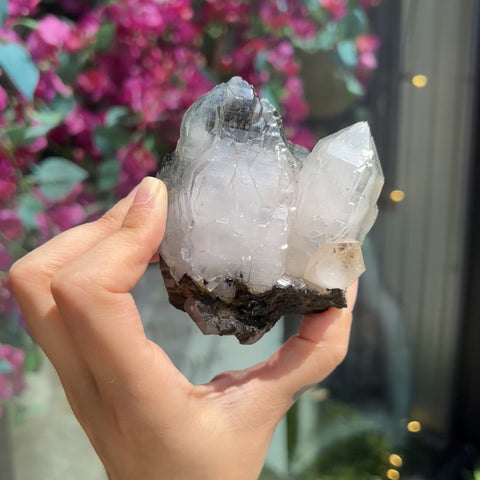 Himalayan Quartz w/ Tourmaline/Chlorite "Sarah"
