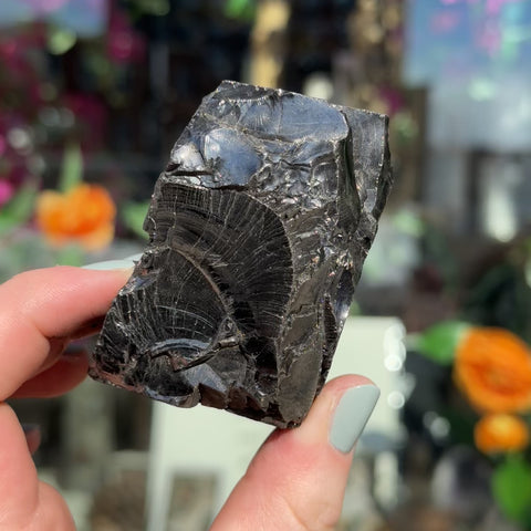 Elite Shungite "Michele"