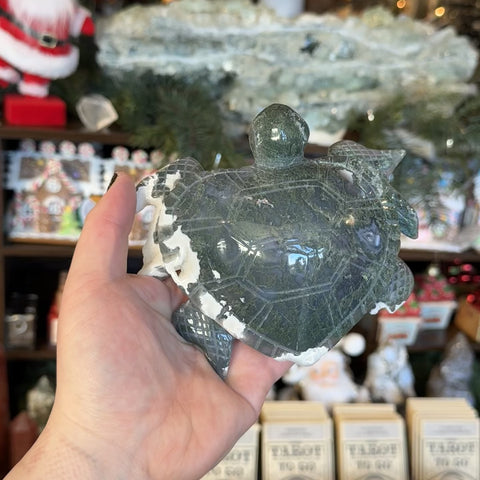 Moss Agate Sea Turtle "Andrew"