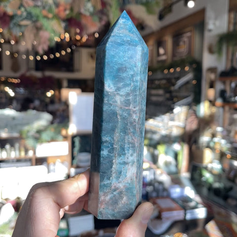 Blue Apatite "Steve"