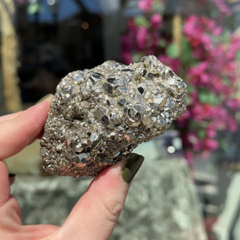 Pyrite "Xavier"