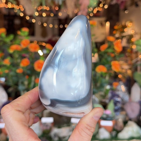 Orca Agate "Francis"