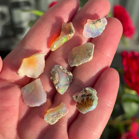 Little Ethiopian Opal