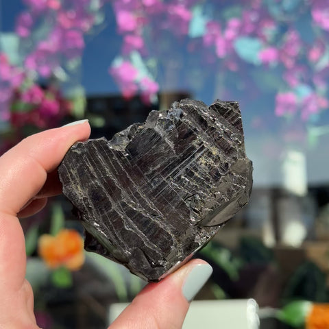 Elite Shungite "Rickey"