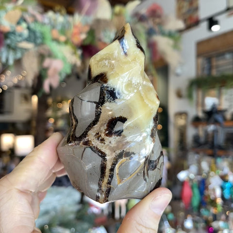 Septarian Stone "Michael"