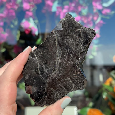 Elite Shungite "Ivy"