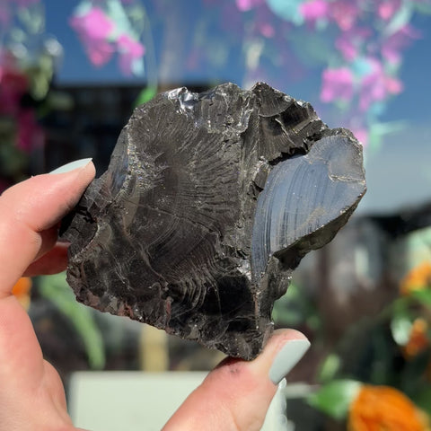 Elite Shungite "Morris"