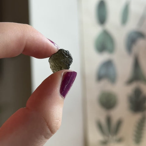Moldavite "Delaney"