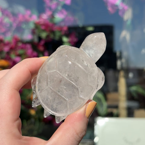 Clear Quartz Turtle "Shirley"
