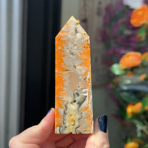 Bumblebee Jasper "Wesley"