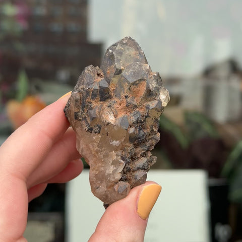 Natural Citrine "Kalinda"