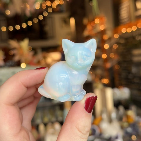 Opalite Cat