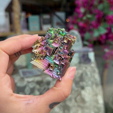 Bismuth "Quinn"