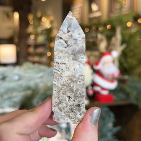 Druzy Fossilized Coral "Mike"