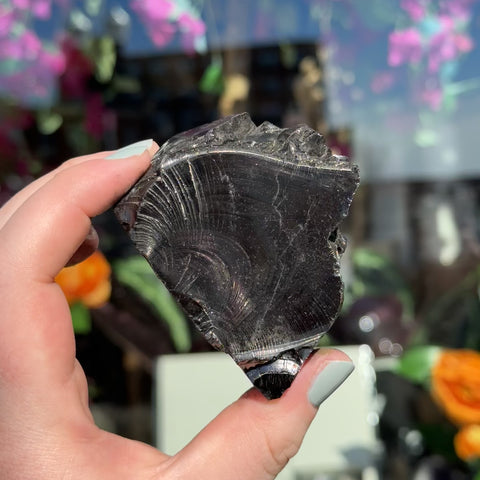 Elite Shungite "Ira"