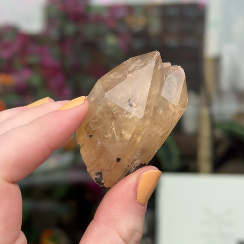 Natural Citrine "Samson"