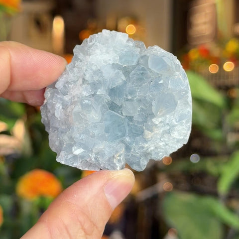 Celestite "Jesse"